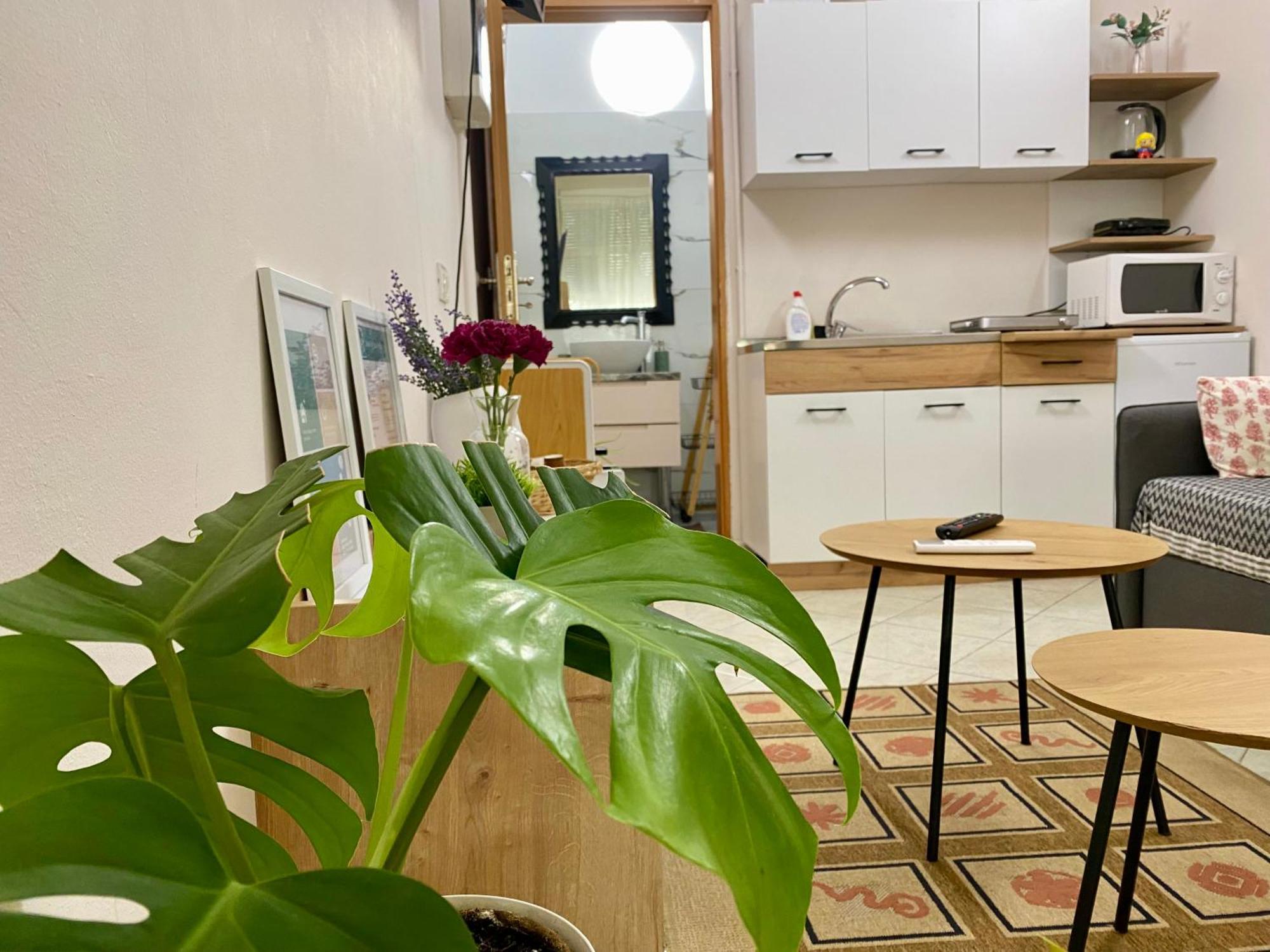 Dori'S Wilson Studio At Blloku Neighborhood Tiranë Ngoại thất bức ảnh